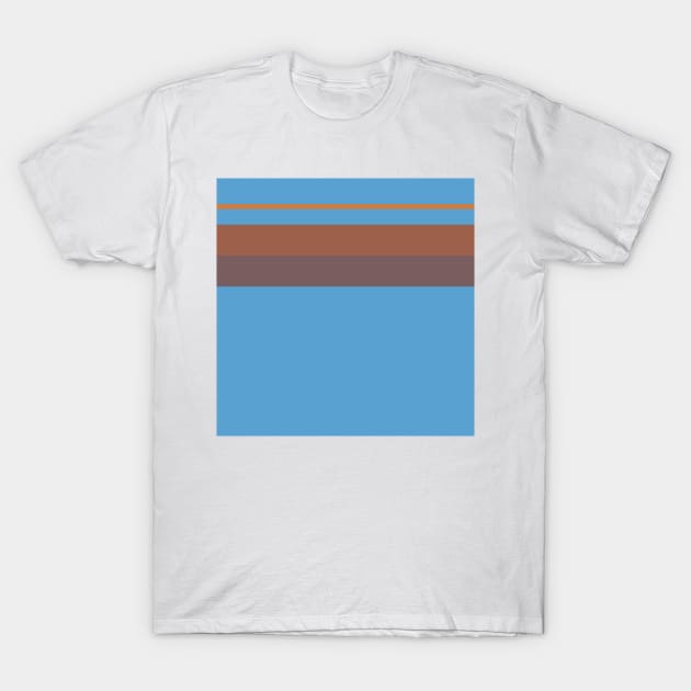 A singular association of Carolina Blue, Dirt, Dark Taupe, Redwood and Peru stripes. T-Shirt by Sociable Stripes